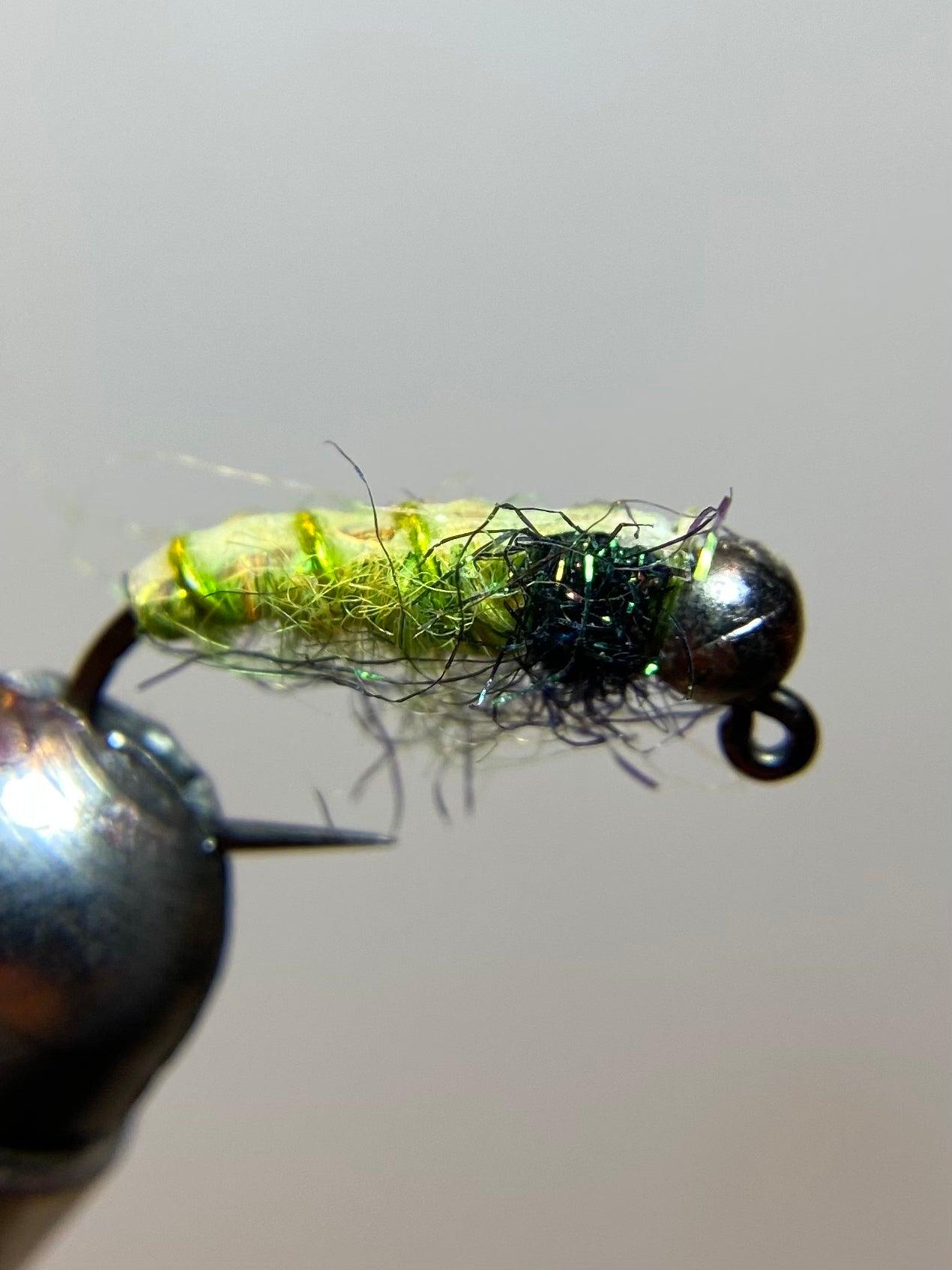 Tungsten Caddis larvae