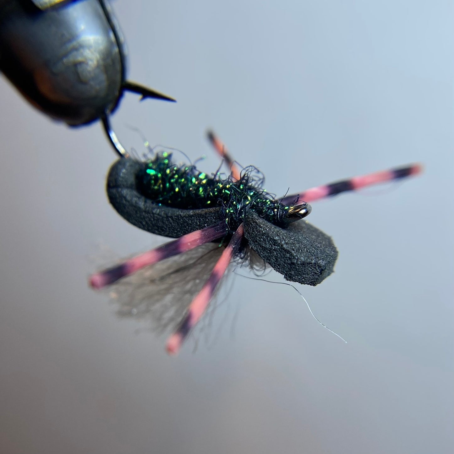 Foam Beetle