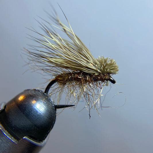 Attractor Caddis