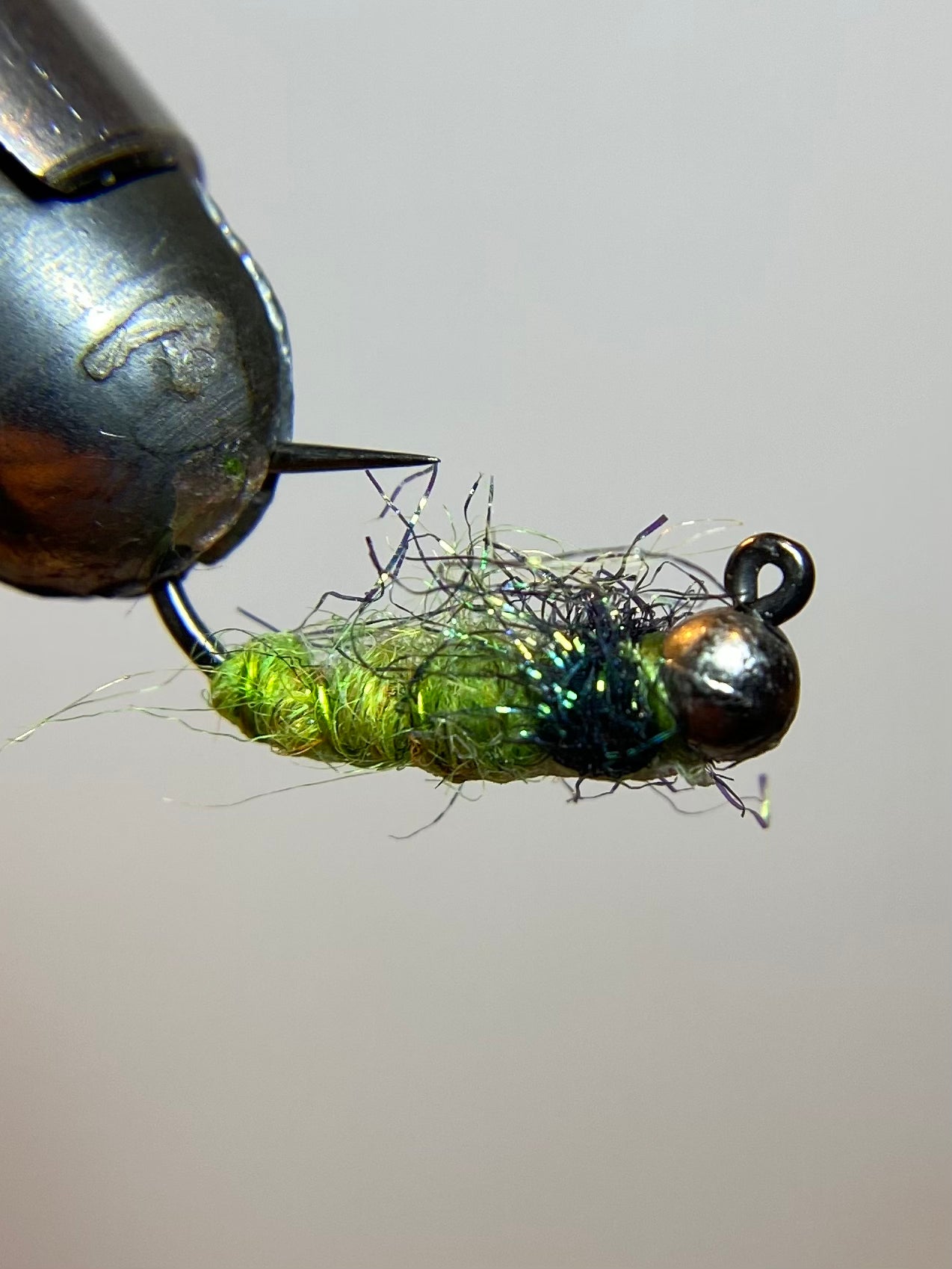 Tungsten Caddis larvae